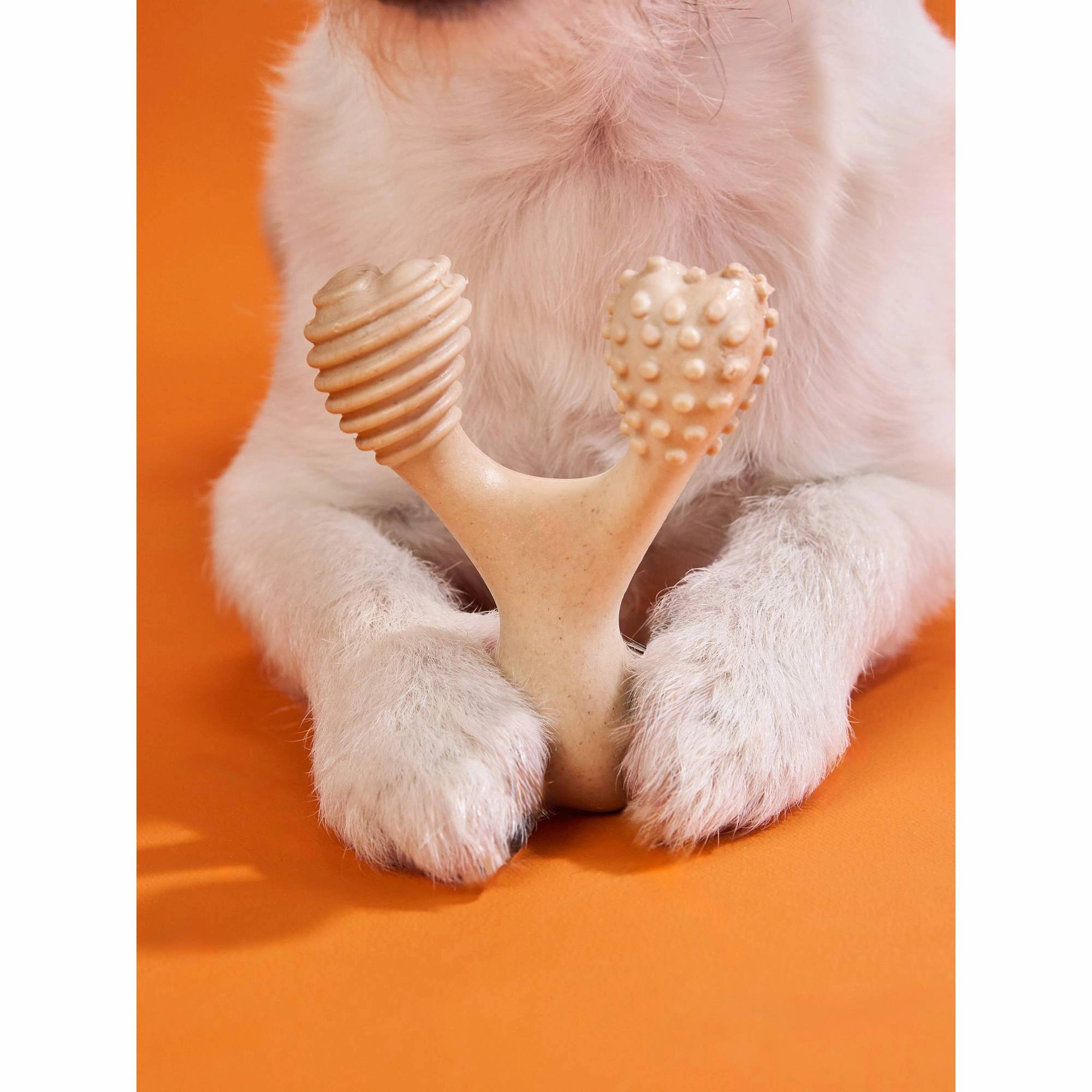BetterBone | Dog Chew Toy | Hard Durability for Super Tough Chewers - Classic Hypoallergenic Flavour