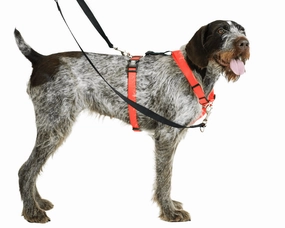 Blue-9 Balance Harness