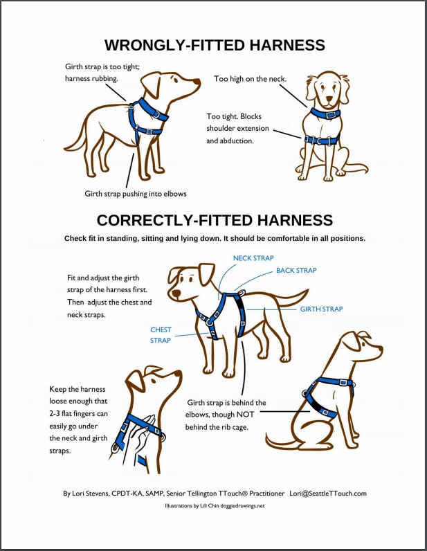 Blue-9 Balance Harness