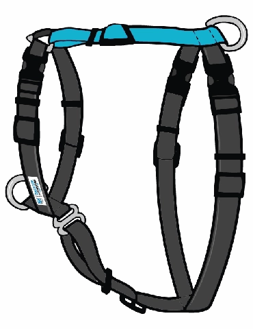 Blue-9 Balance Harness
