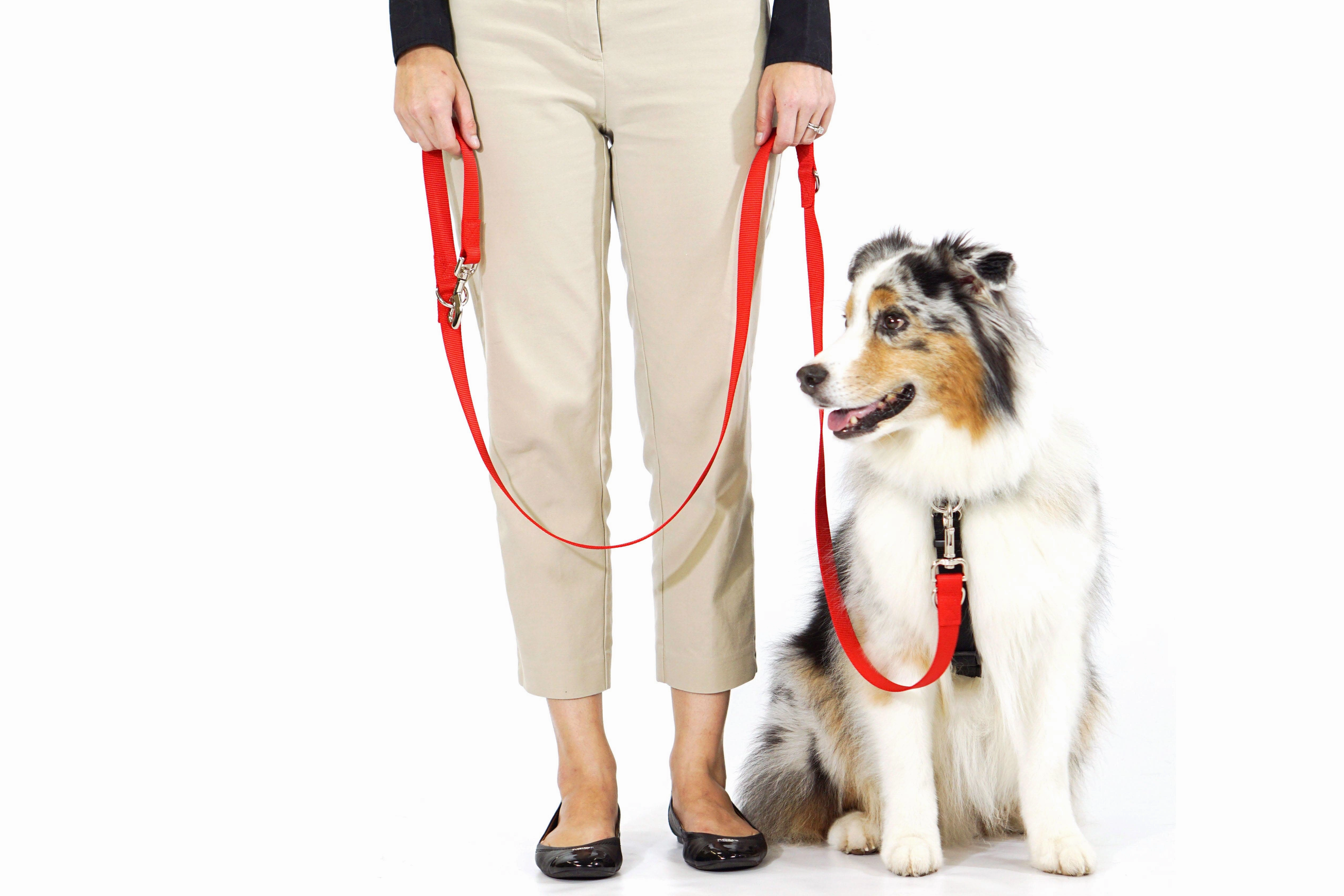 Blue-9 Multi-Function Leash