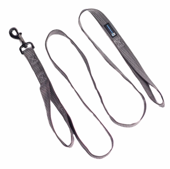 Blue-9 Reflective 6' Leash