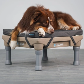Blue-9 Restore Dog Bed Single