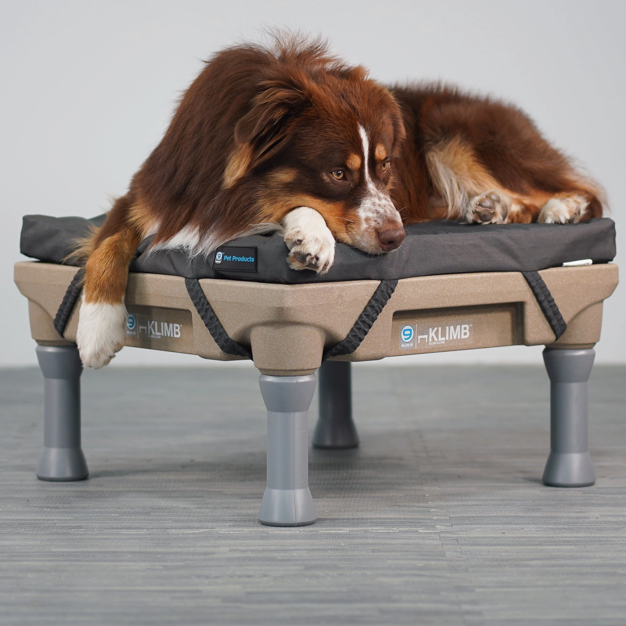 Blue-9 Restore Dog Bed Single