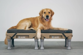 Blue-9 Restore Double Dog Bed