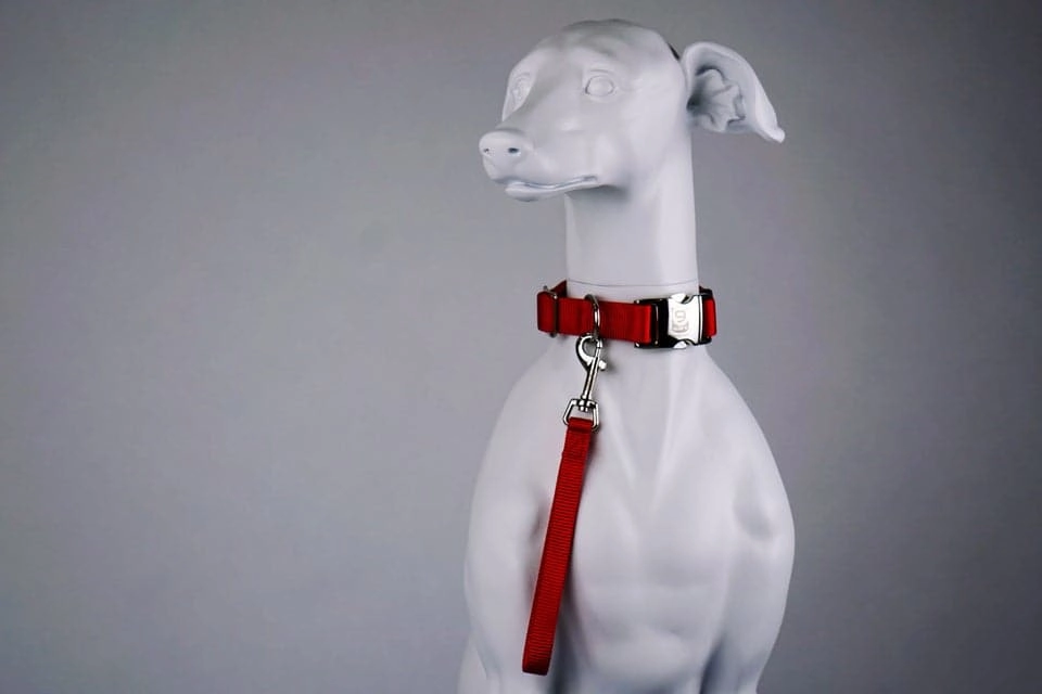 Blue-9 Tab Leash