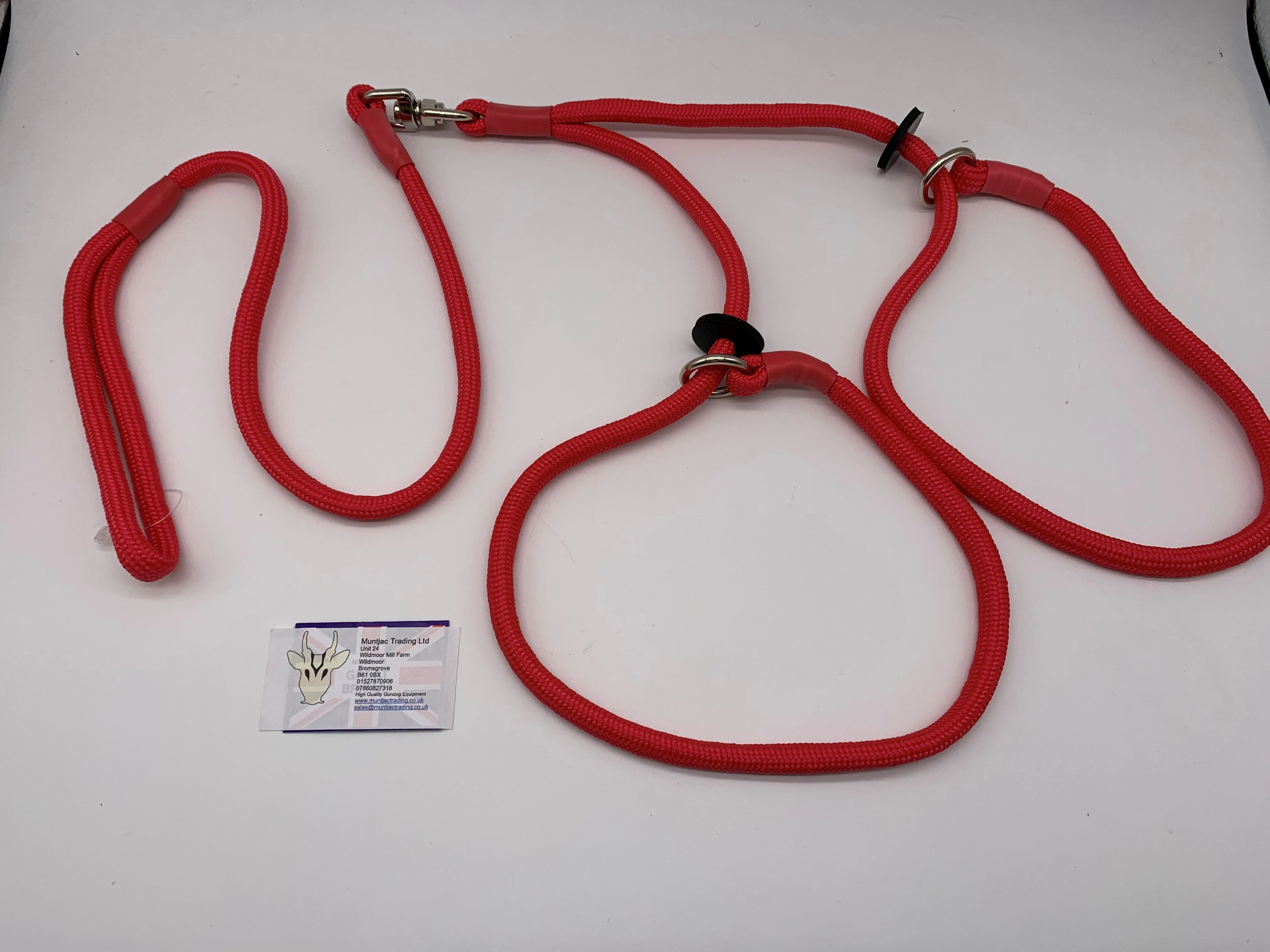 Braided Brace Slip Lead for 2 dogs