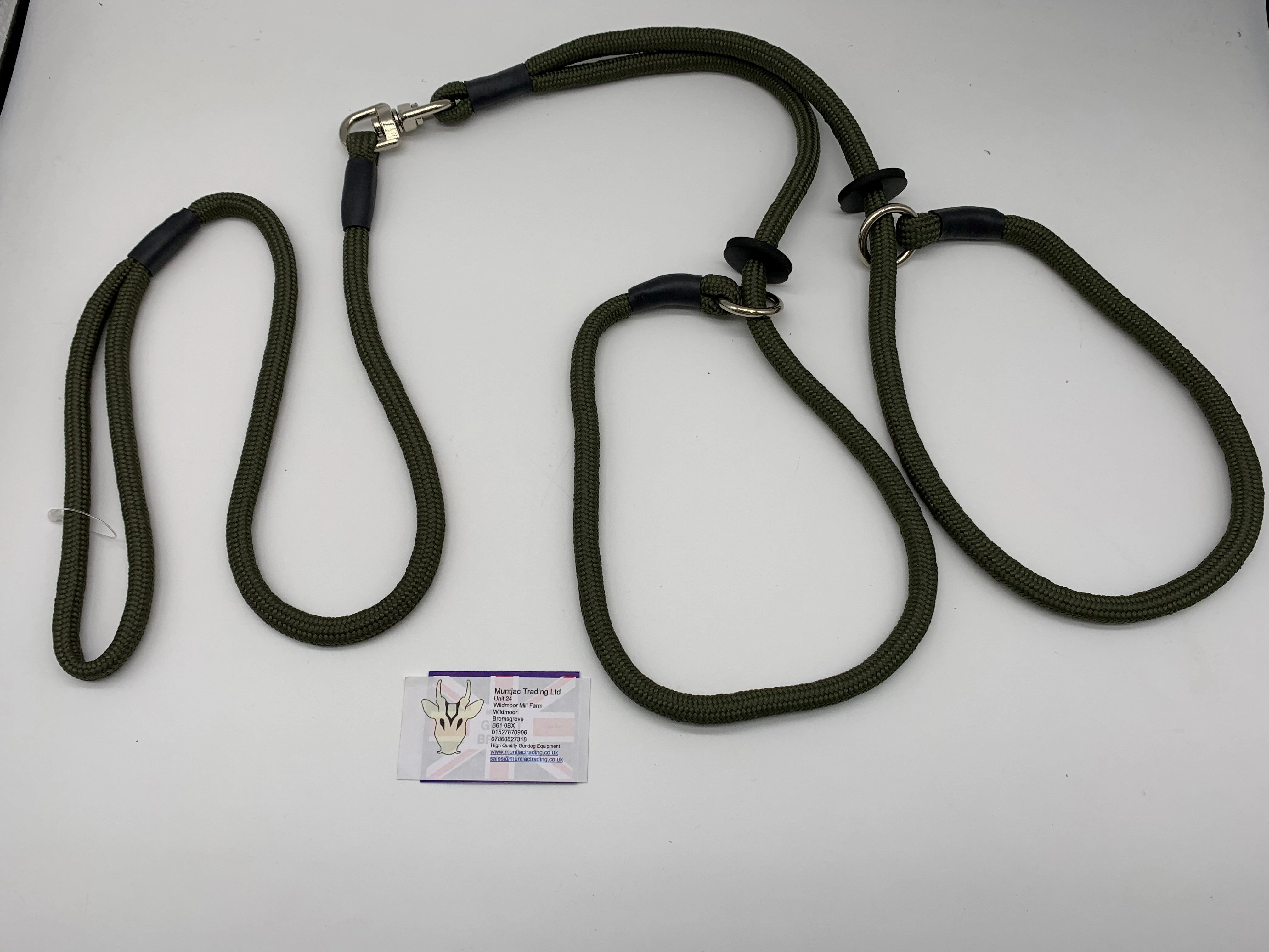 Braided Brace Slip Lead for 2 dogs