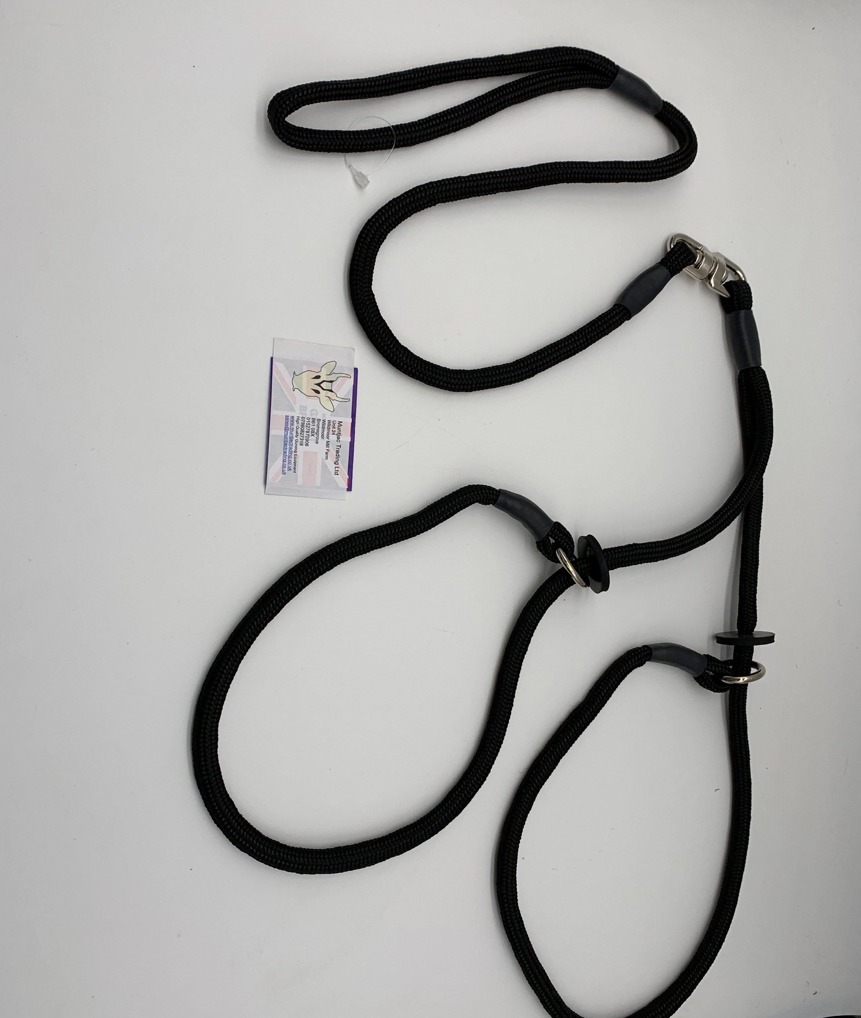 Braided Brace Slip Lead for 2 dogs