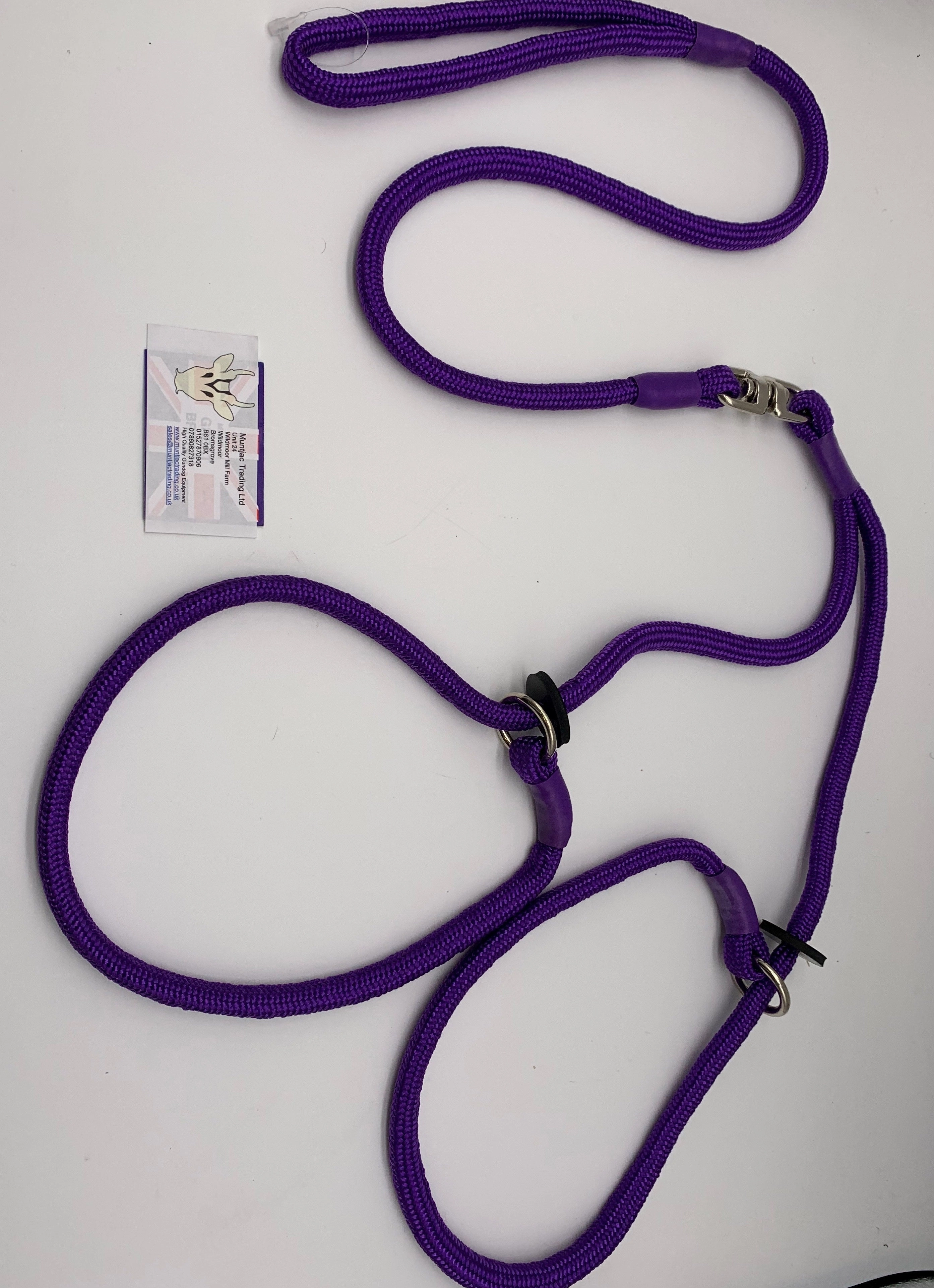 Braided Brace Slip Lead for 2 dogs