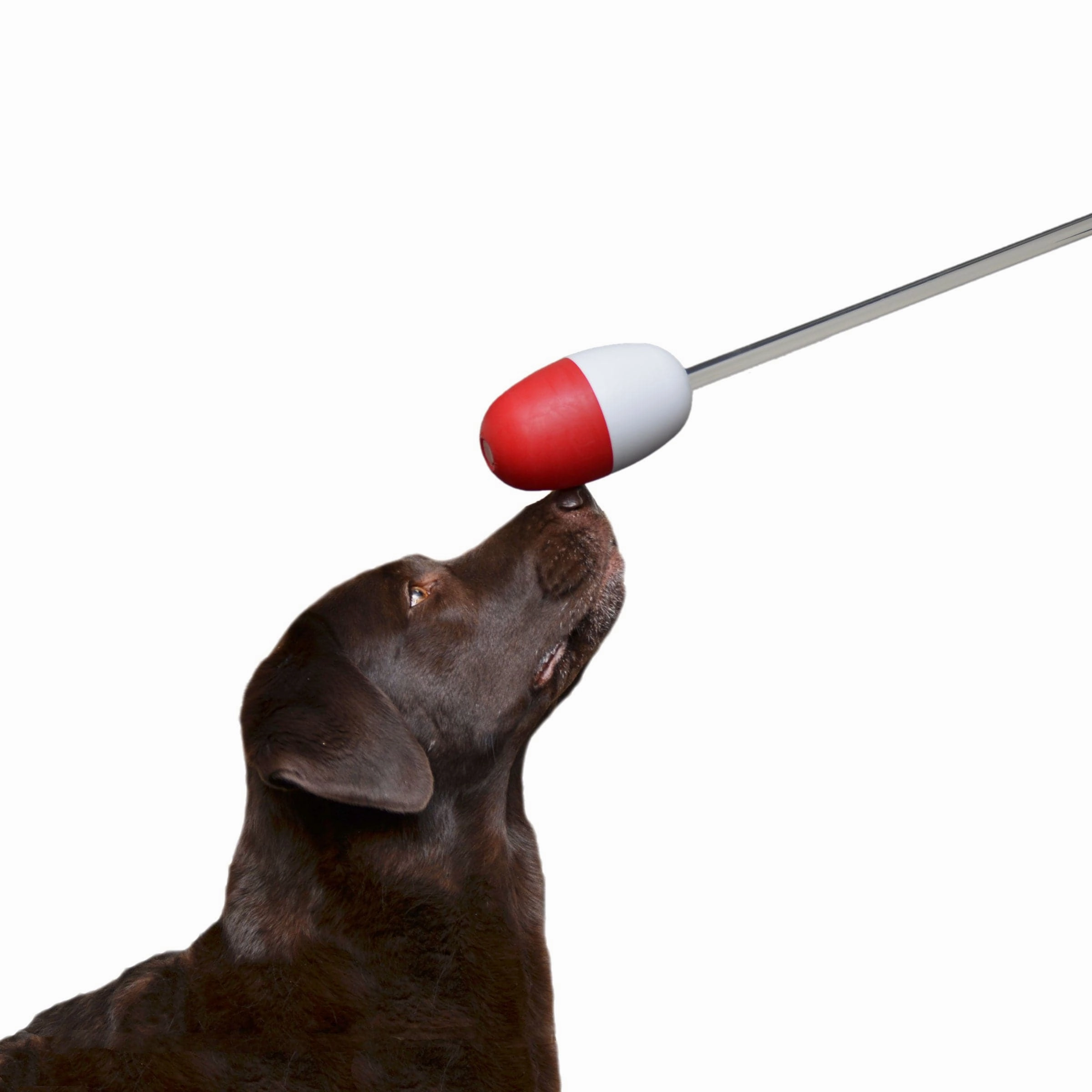 Buoy Target with Handle