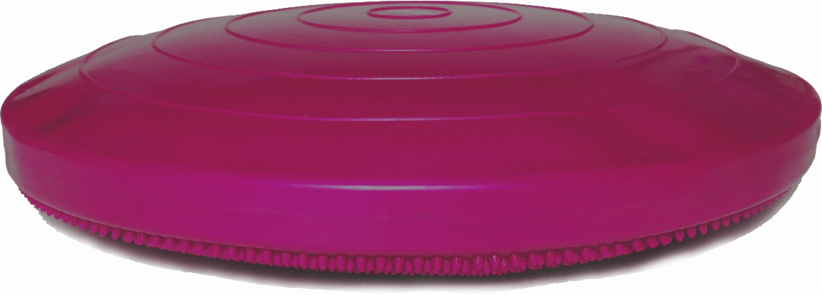 FitPAWS?? Balance Discs
