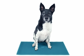FitPaws?? FitMat Teal
