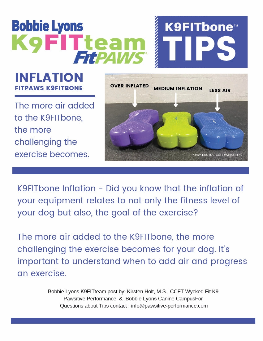 FitPAWS K9FITbone