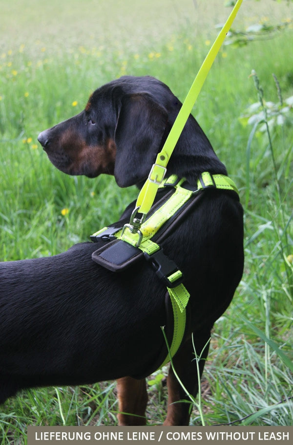 Fluorescent Yellow Tracker Harness