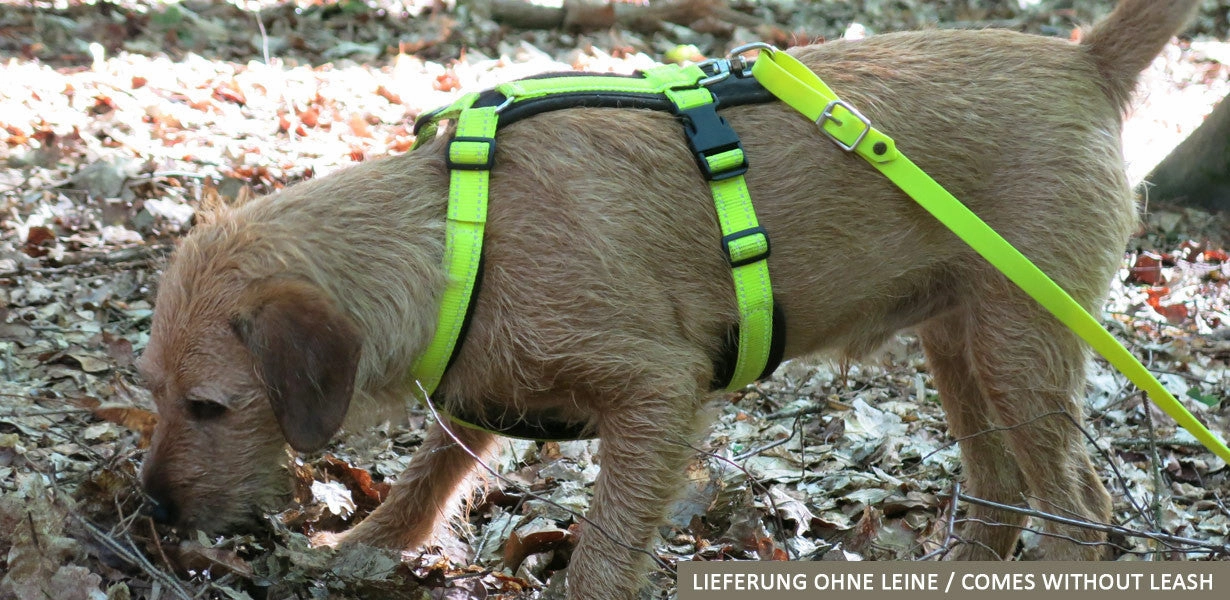 Fluorescent Yellow Tracker Harness