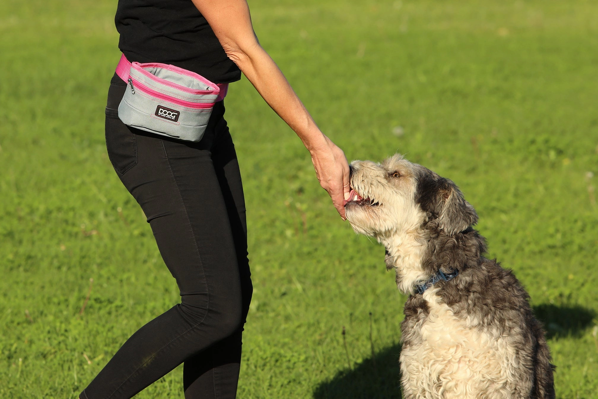 Good Dog Treat Pouch - Grey/Pink (Large)