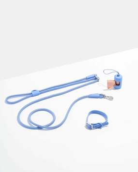 Hands-Free Collar Walk Kit
