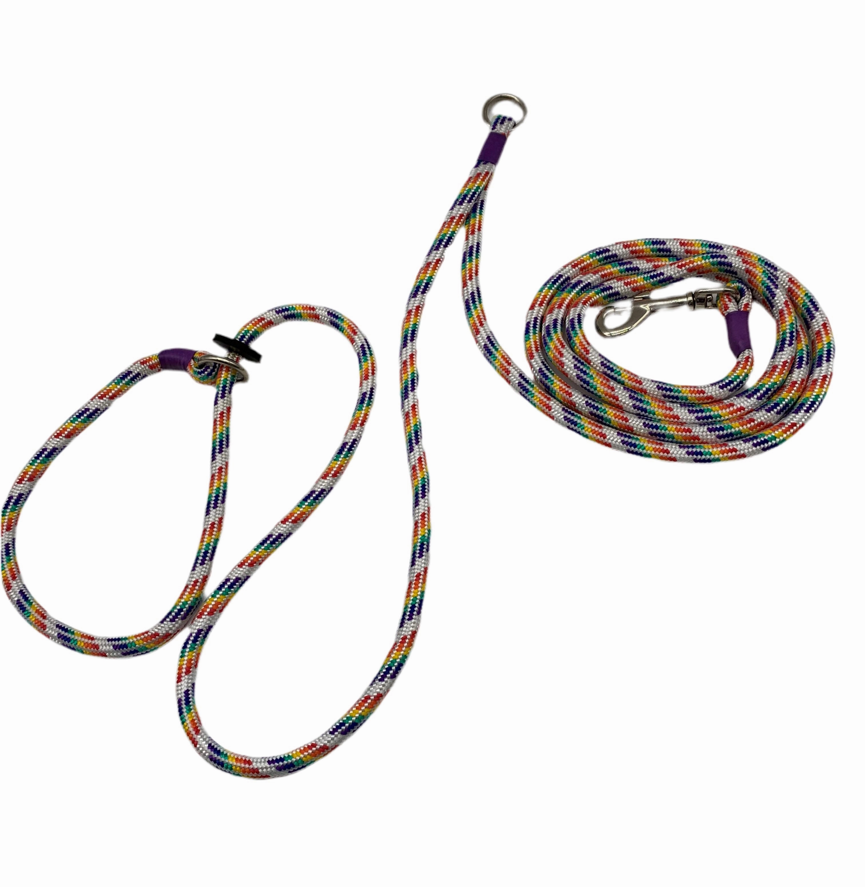 Hands-Free Training Dog Slip Leads (Jaeger)