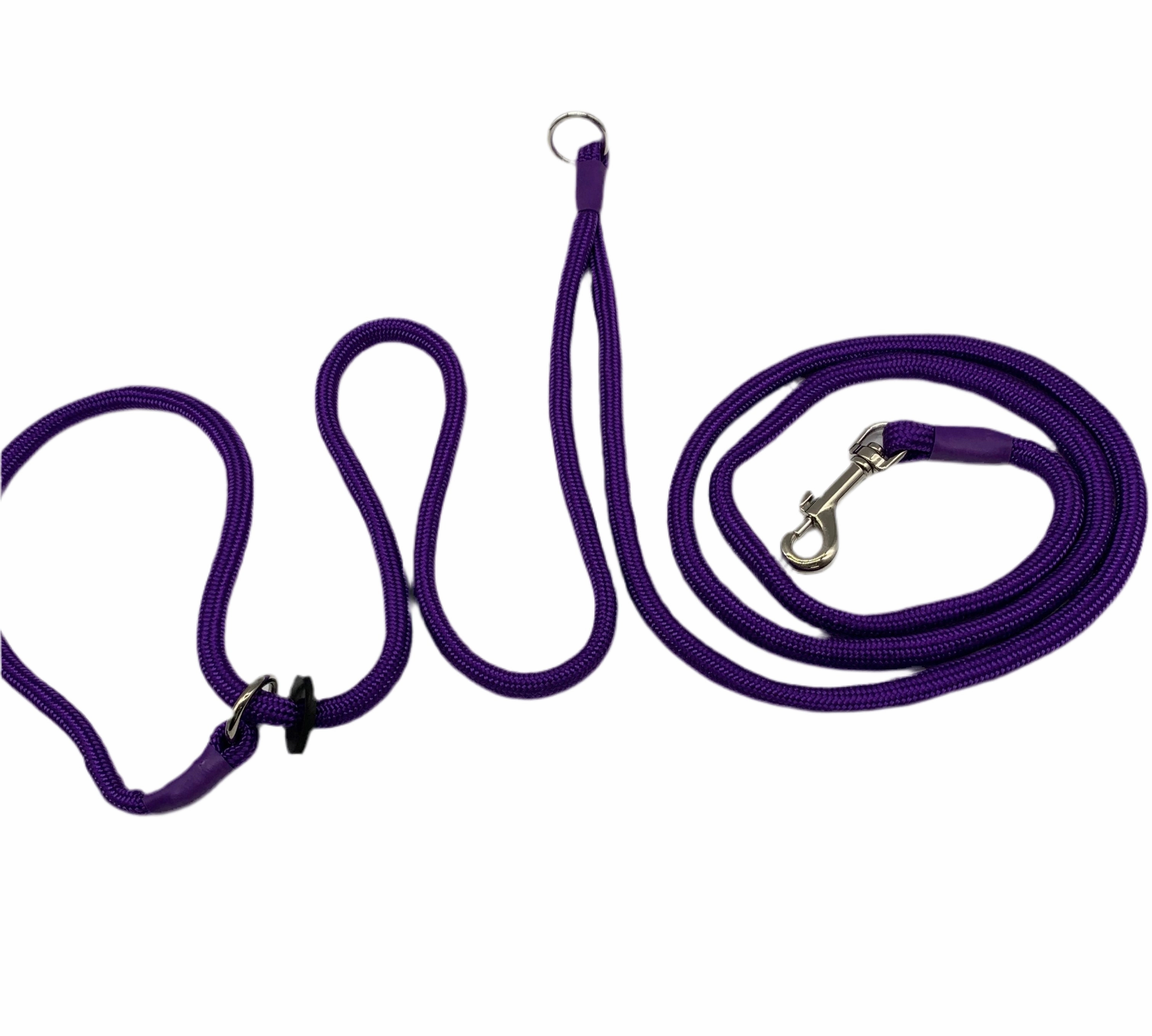 Hands-Free Training Dog Slip Leads (Jaeger)