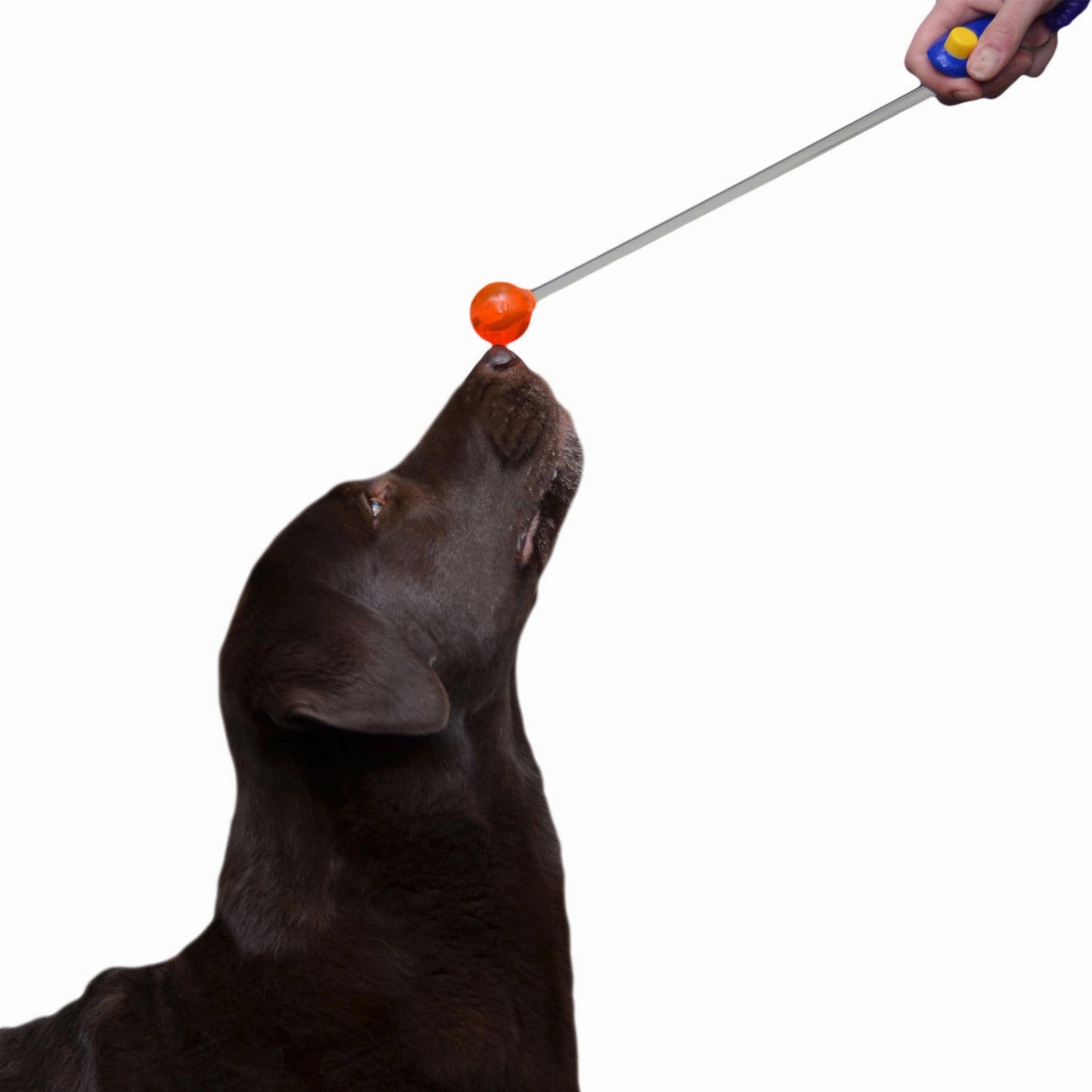Lollipop Target