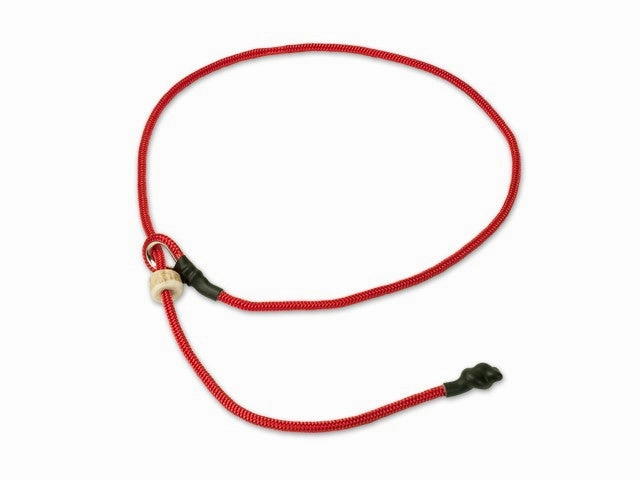 Mystique?? 4mm Heeling Collar Without Toggle