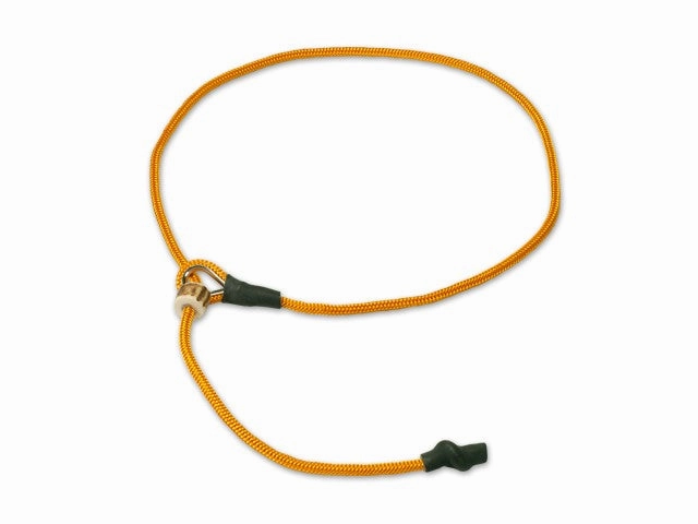Mystique?? 4mm Heeling Collar Without Toggle