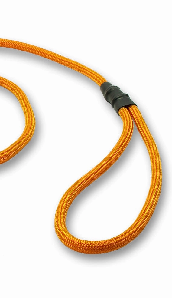 Mystique?? 6mm Clip German Field Trial Lead