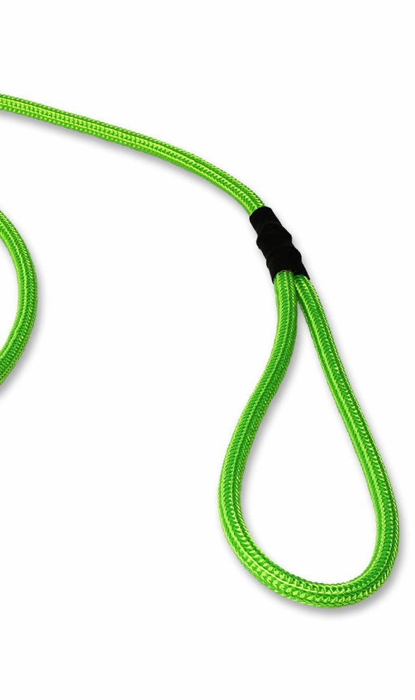 Mystique?? 6mm Clip German Field Trial Lead