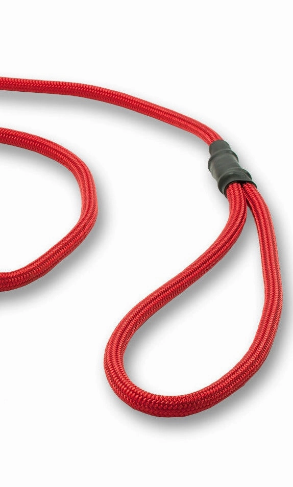 Mystique?? 6mm Clip German Field Trial Lead