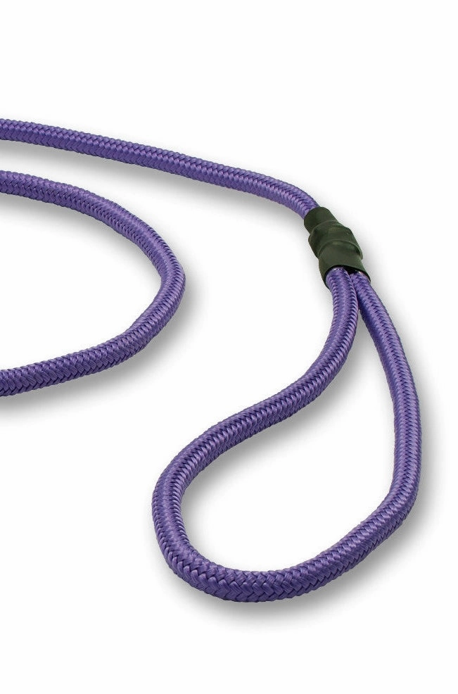 Mystique?? 6mm Clip German Field Trial Lead