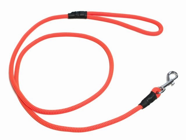 Mystique?? 8mm Clip German Field Trial Lead