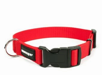 Mystique?? Basic Nylon Collar