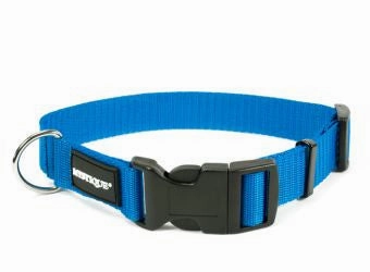 Mystique?? Basic Nylon Collar