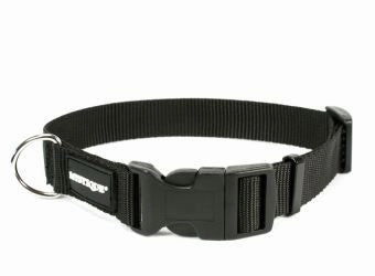 Mystique?? Basic Nylon Collar