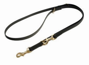 Mystique?? Biothane Adjustable Police Leash