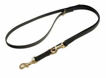 Mystique?? Biothane Adjustable Police Leash