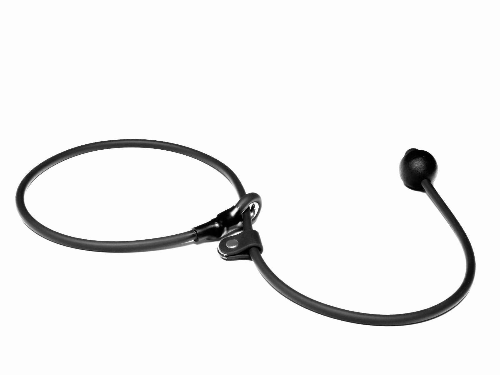 Mystique?? Biothane Heeling Collar with Easy Grip Toggle