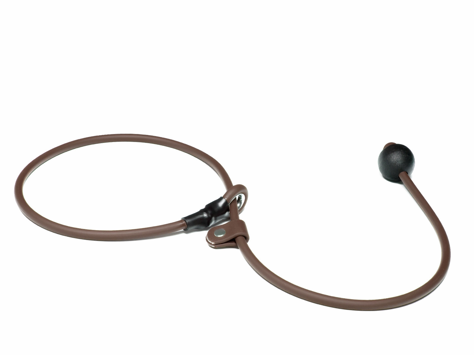 Mystique?? Biothane Heeling Collar with Easy Grip Toggle