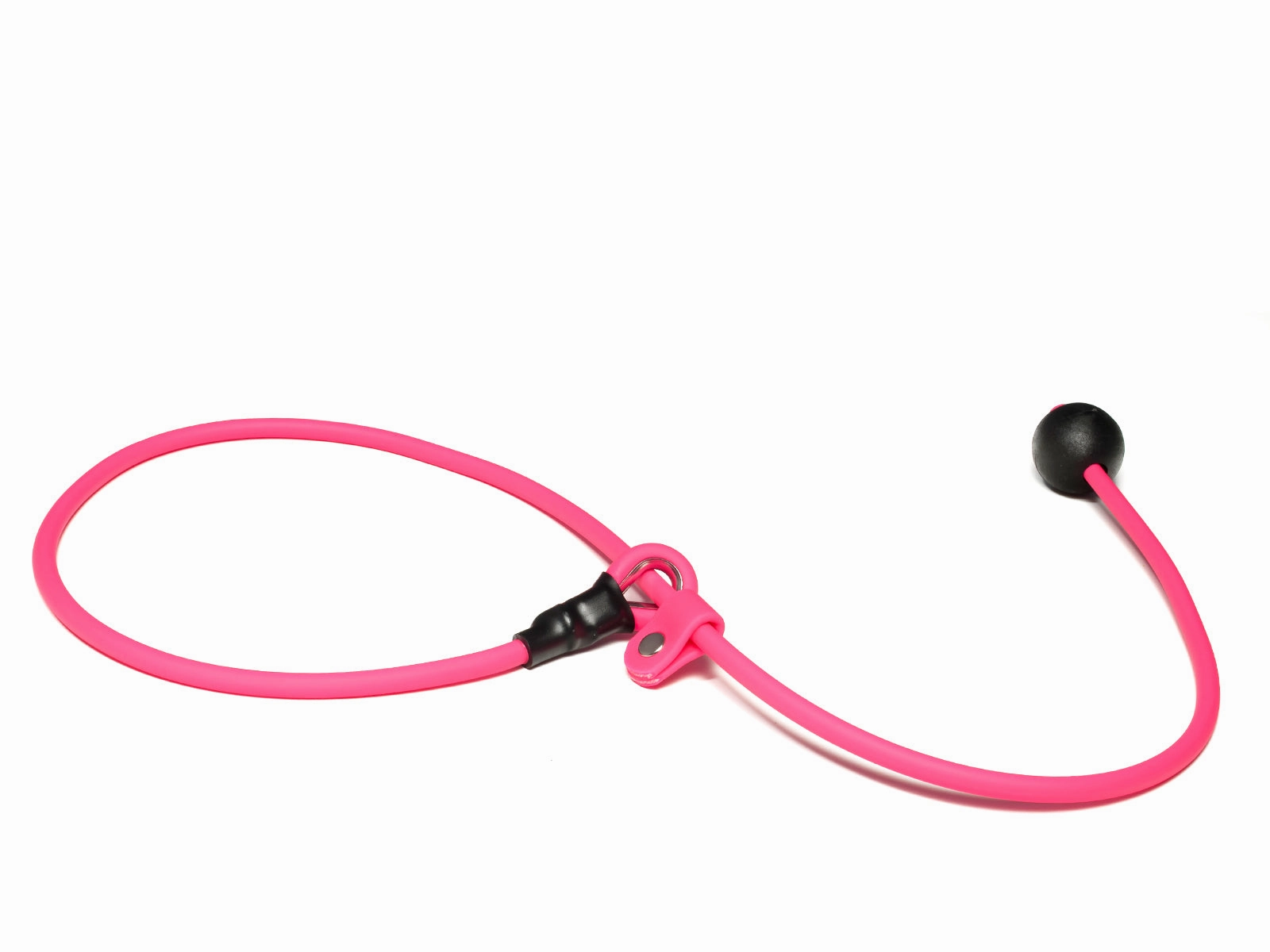 Mystique?? Biothane Heeling Collar with Easy Grip Toggle