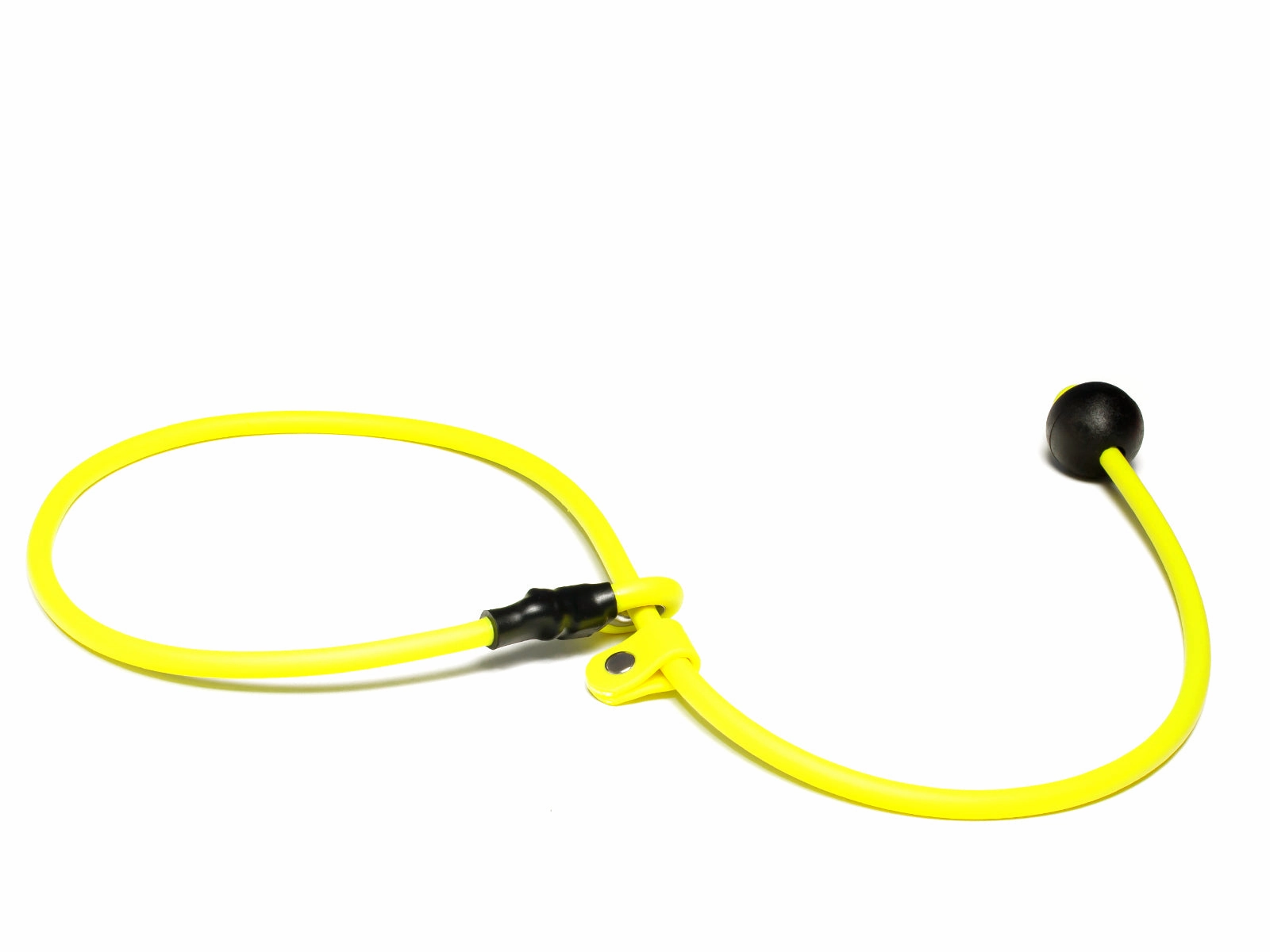 Mystique?? Biothane Heeling Collar with Easy Grip Toggle
