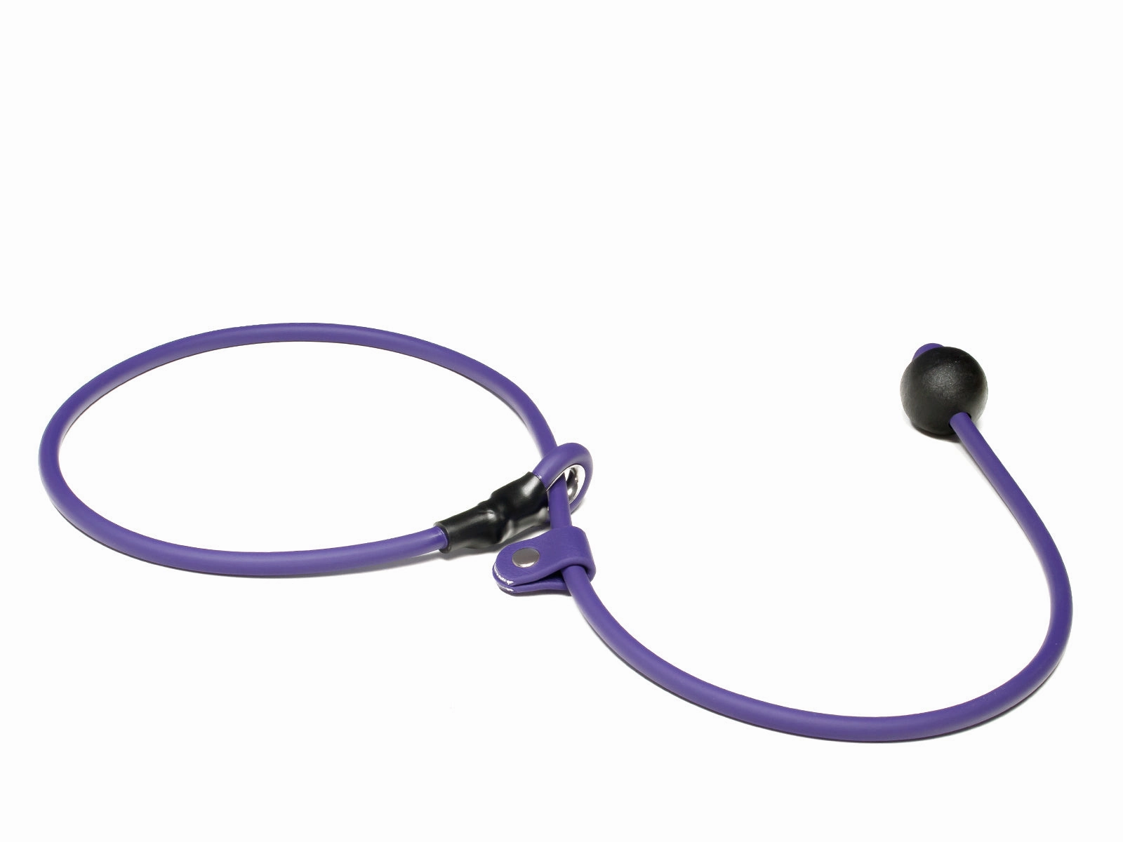 Mystique?? Biothane Heeling Collar with Easy Grip Toggle