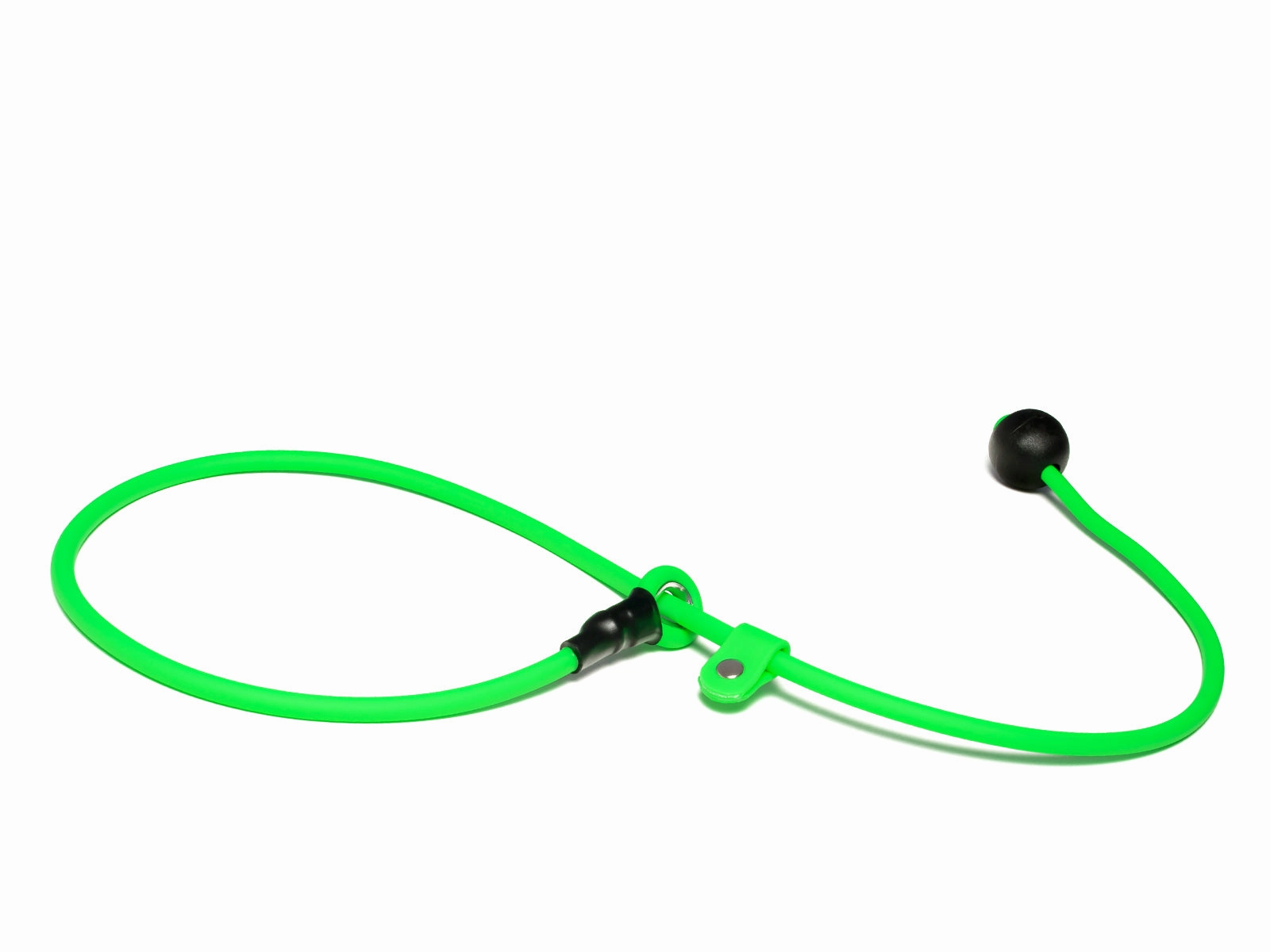 Mystique?? Biothane Heeling Collar with Easy Grip Toggle