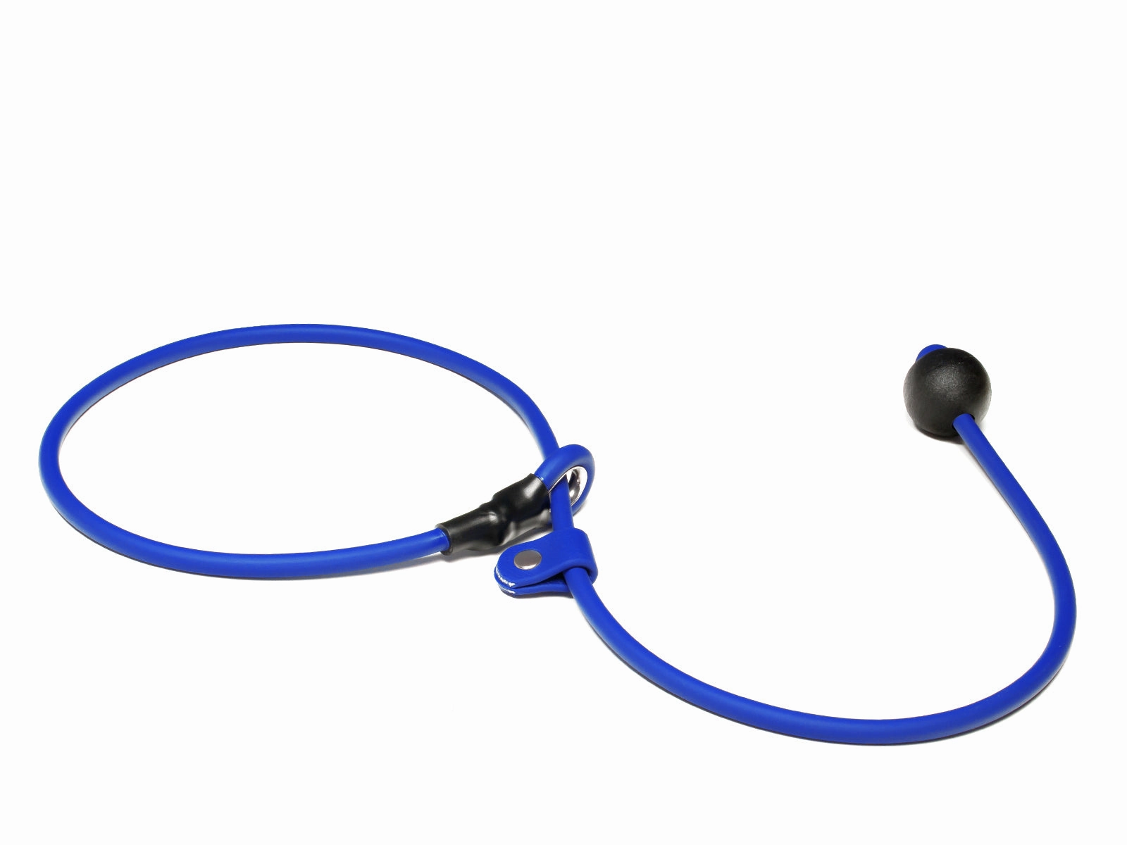 Mystique?? Biothane Heeling Collar with Easy Grip Toggle