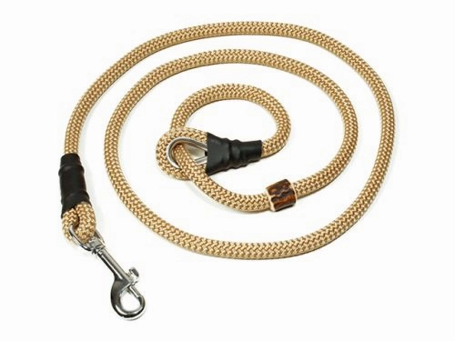 Mystique?? German Field Trial Hunting Lead
