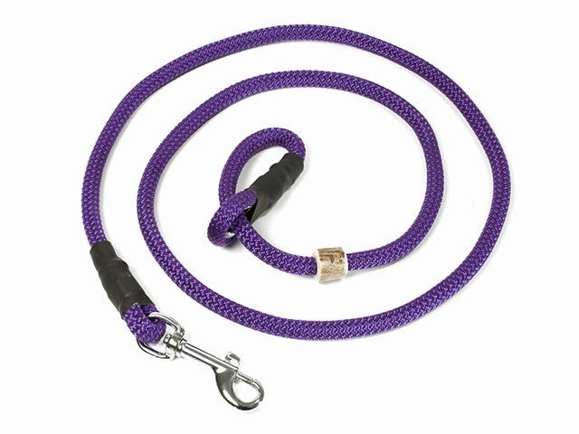 Mystique?? German Field Trial Hunting Lead
