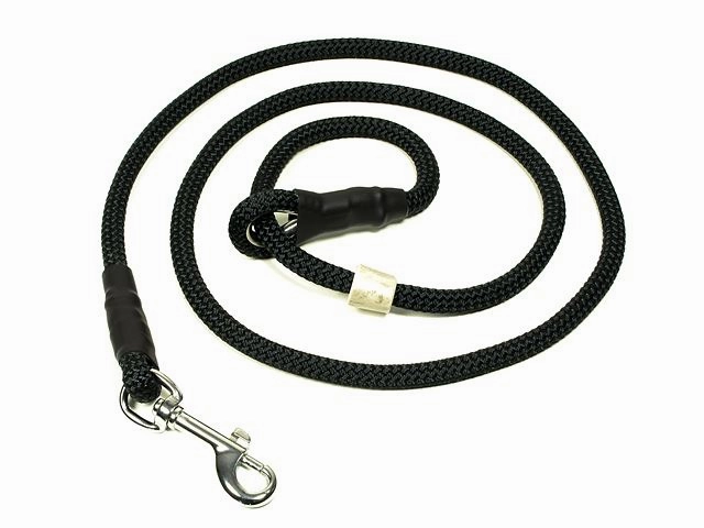 Mystique?? German Field Trial Hunting Lead