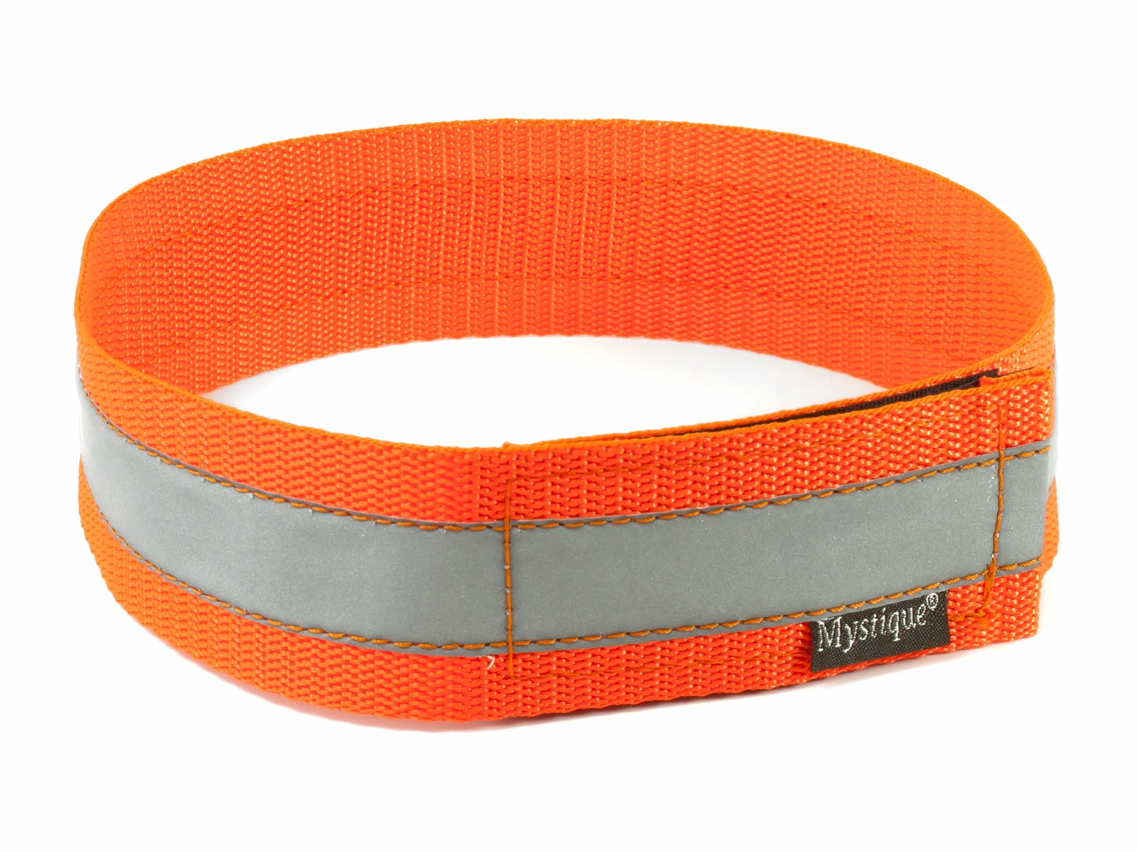 Mystique?? Reflective Collar