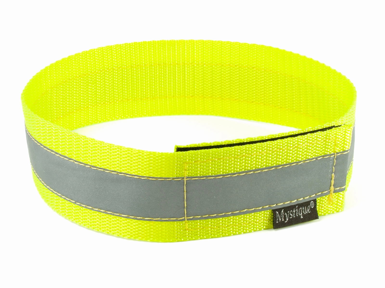 Mystique?? Reflective Collar