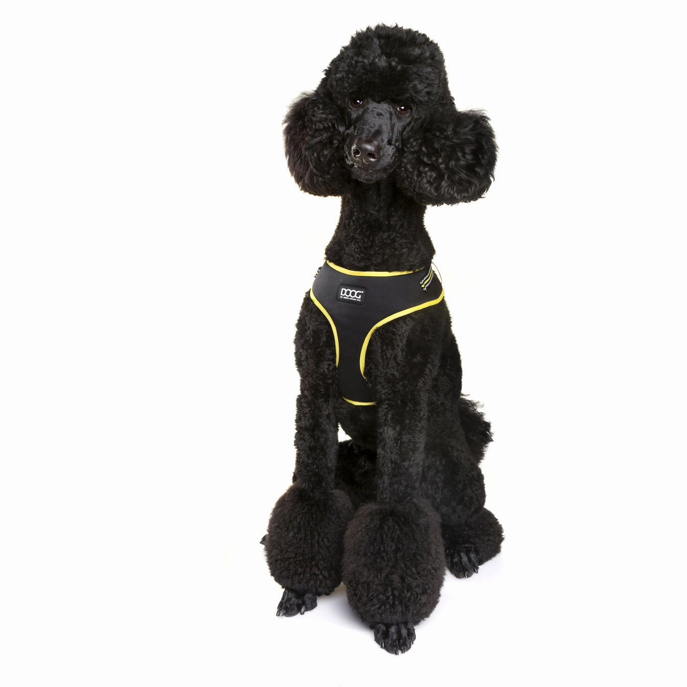 Neoflex Soft Harness - (Neon High Vis) Bolt